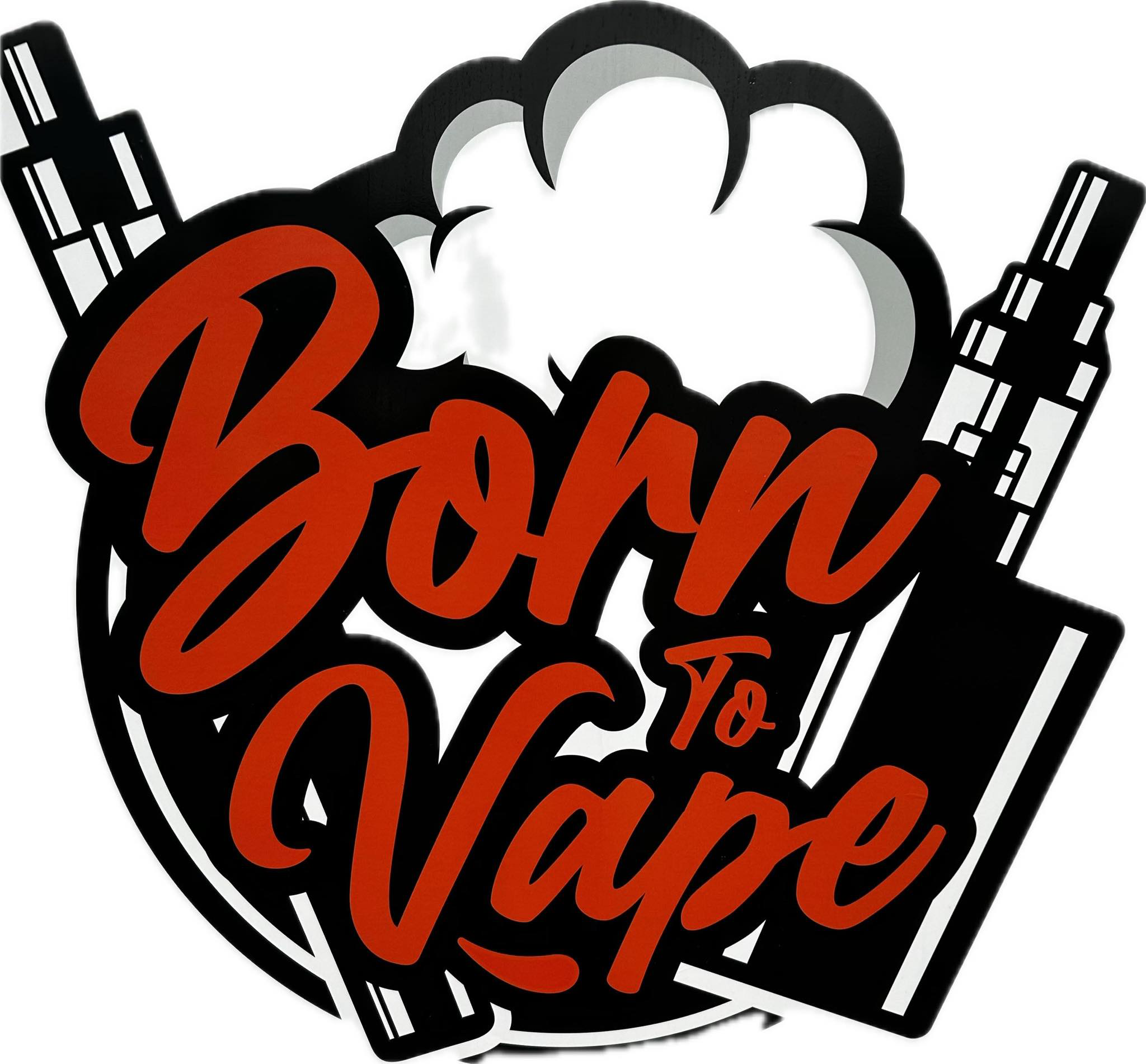 B2V SPÓŁKA Z OGRANICZONĄ ODPOWIEDZIALNOŚCIĄ